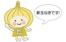 玉ねぎ